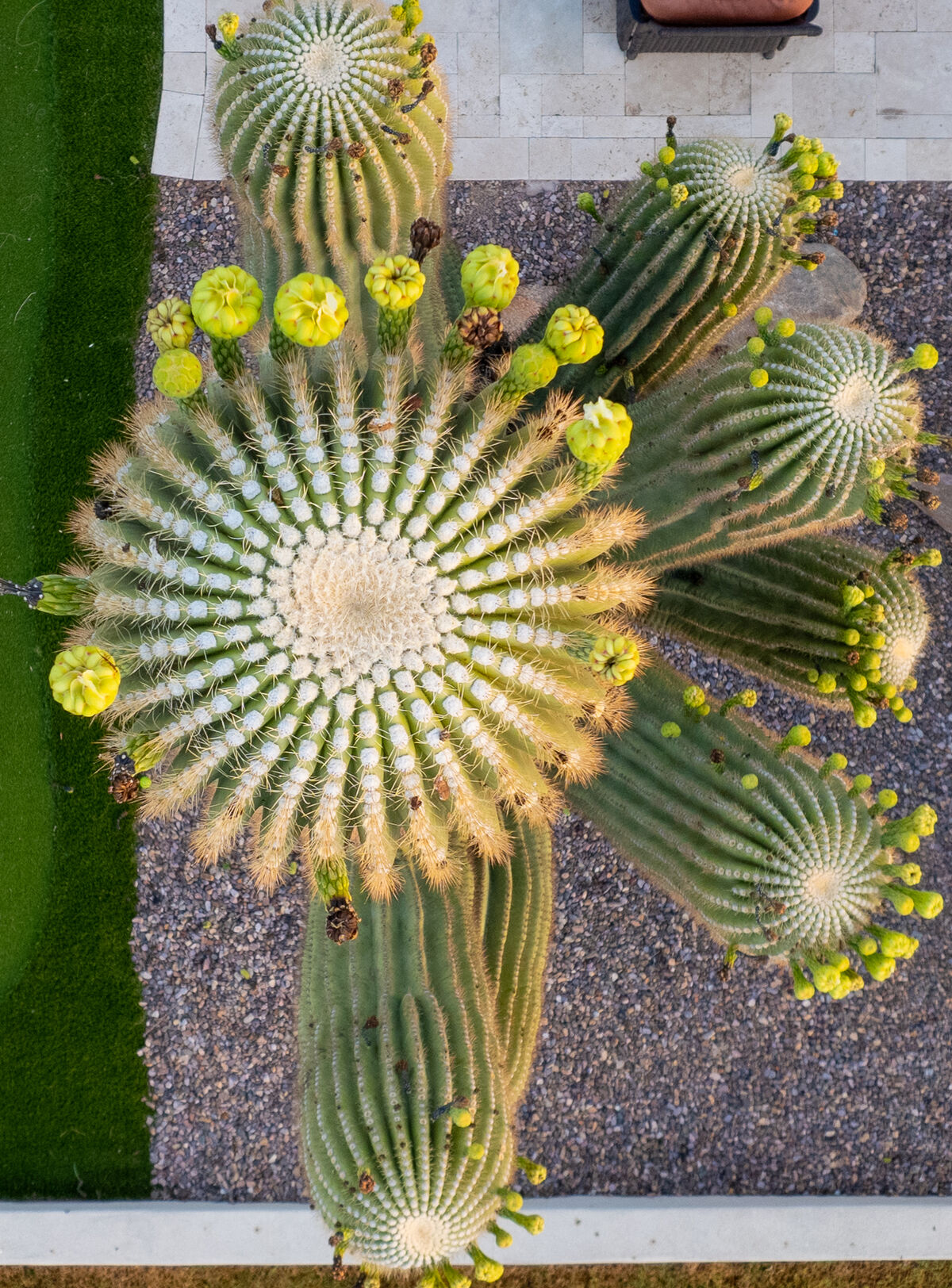 Sunset aerial of a Mesa, AZ luxury residential property with desert landscape